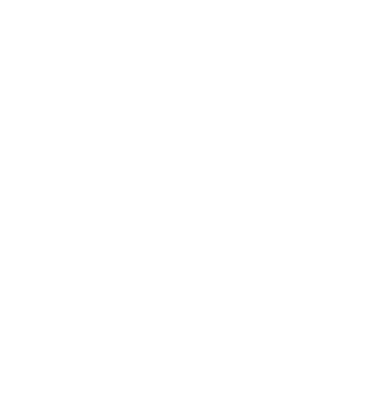 No Payments